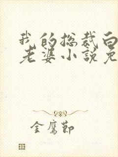 我的总裁白富美老婆小说免费在线阅读完整版
