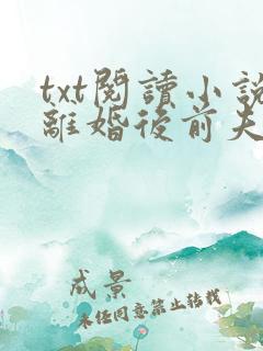 txt阅读小说离婚后前夫哭着求复婚