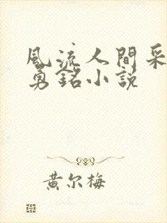风流人间采薇,勇铭小说