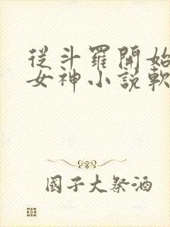 从斗罗开始俘获女神小说软件