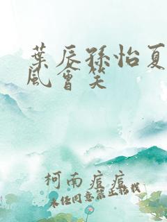 叶辰孙怡夏若雪风会笑