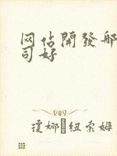 网站开发哪个公司好