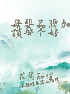 母婴品牌加盟连锁哪个好