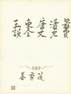 王东唐潇最新小说全文免费阅读