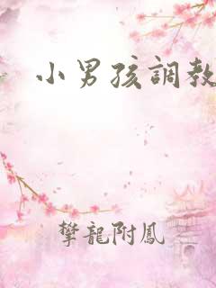 小男孩调教小说