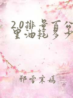 2.0排量百公里油耗多少