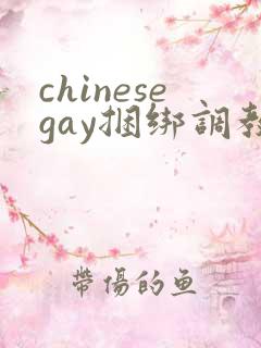 chinesegay捆绑调教视频