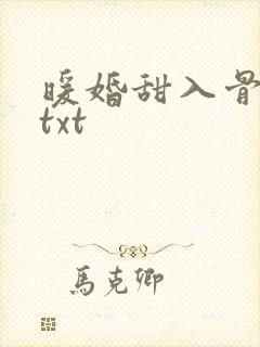 暖婚甜入骨下载txt