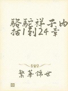 骆驼祥子内容概括1到24章