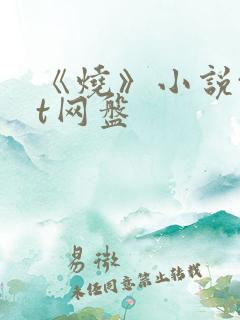 《烧》小说txt网盘