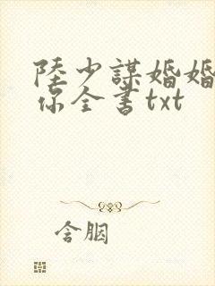 陆少谋婚婚不由你全书txt