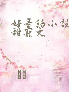 好看的小说言情甜宠文 好看的小说言情甜宠文