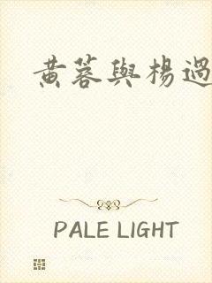 黄蓉与杨过淫传