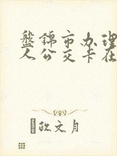 盘锦市办理老年人公交卡在哪办理
