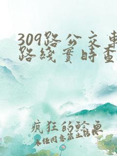 309路公交车路线实时查询