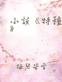 小说《特种兵王》