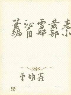 萧沁雪黄老板改编自哪部小说