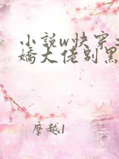 小说w快穿之病娇大佬别黑化》