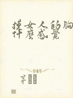 摸女人的胸女人什么感觉