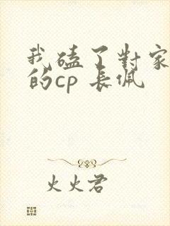我磕了对家x我的cp 长佩