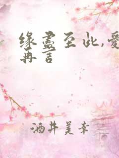 缘尽至此,爱不再言