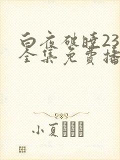 白夜破晓23集全集免费播放