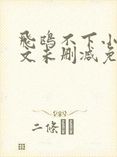 飞鸥不下小说全文未删减免费阅读