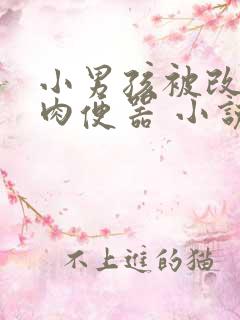 小男孩被改造成肉便器 小说