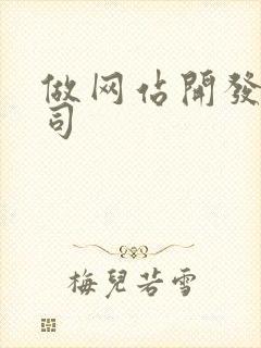 做网站开发的公司