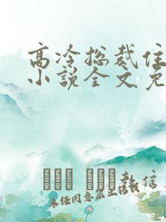 高冷总裁住隔壁小说全文免费阅读