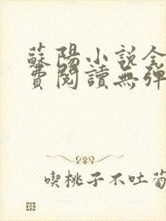 苏阳小说全文免费阅读无弹窗