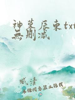神墓辰东txt无删减