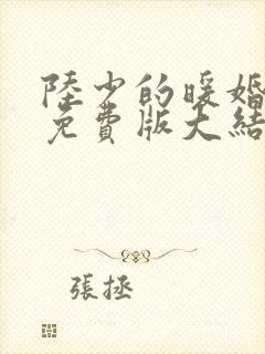 陆少的暖婚新妻免费版大结局 陆少的暖婚新妻免费版大结局