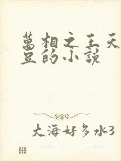万相之王天蚕土豆的小说