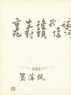 重生后我嫁给了死对头 信河