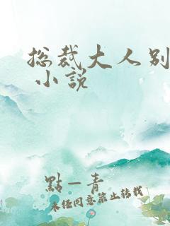 总裁大人别太坏 小说