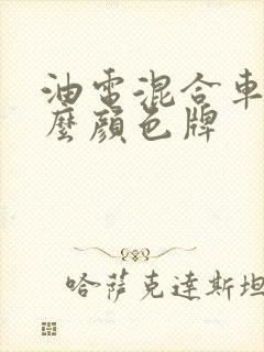 油电混合车上什么颜色牌