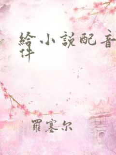 给小说配音的软件