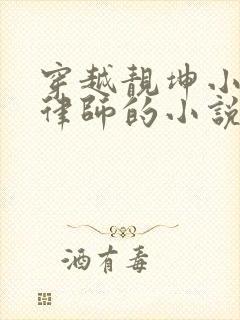 穿越靓坤小弟考律师的小说