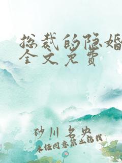 总裁的隐婚罪妻全文免费