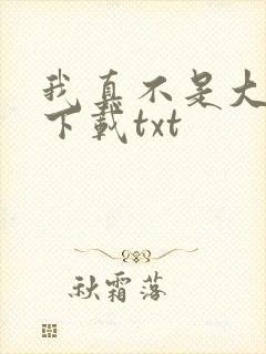 我真不是大明星下载txt