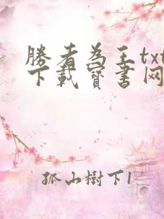 胜者为王txt下载宝书网