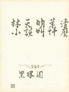 林天明叶清雪的小说叫什么名字