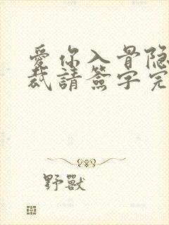 爱你入骨隐婚总裁请签字完整版