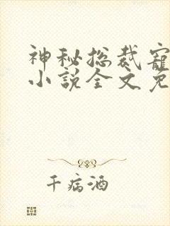 神秘总裁宠上瘾小说全文免费阅读