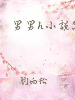 男男h小说父子