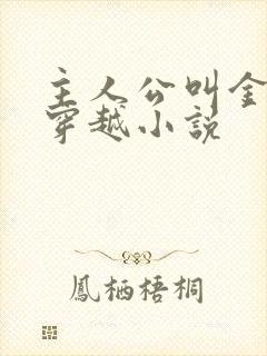 主人公叫金锋的穿越小说
