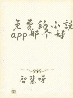 免费的小说阅读app哪个好