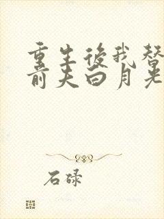 重生后我替掉了前夫白月光