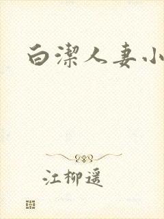 白洁人妻小说